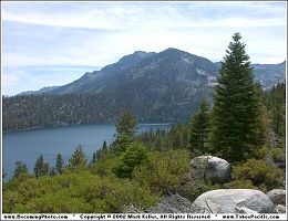 The
                Sierras